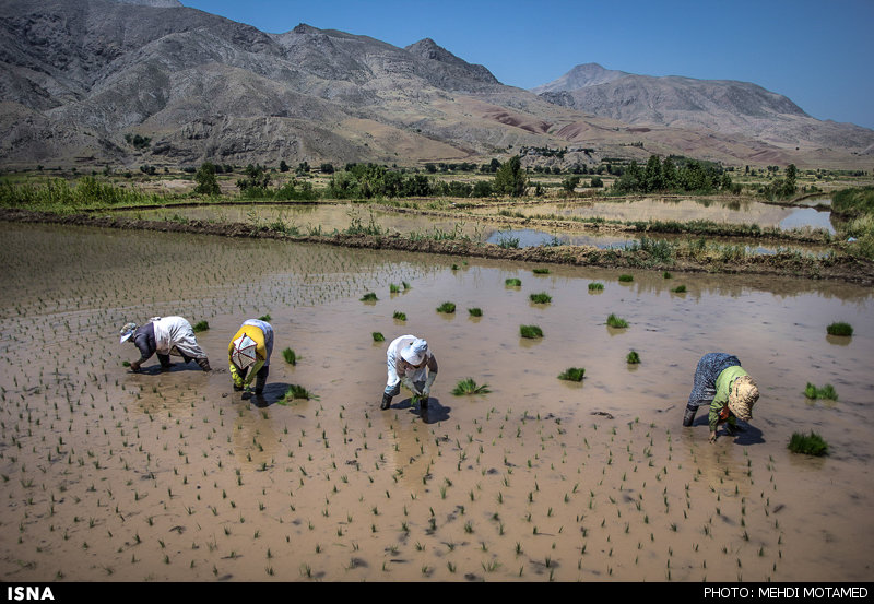 دریاچه اوان