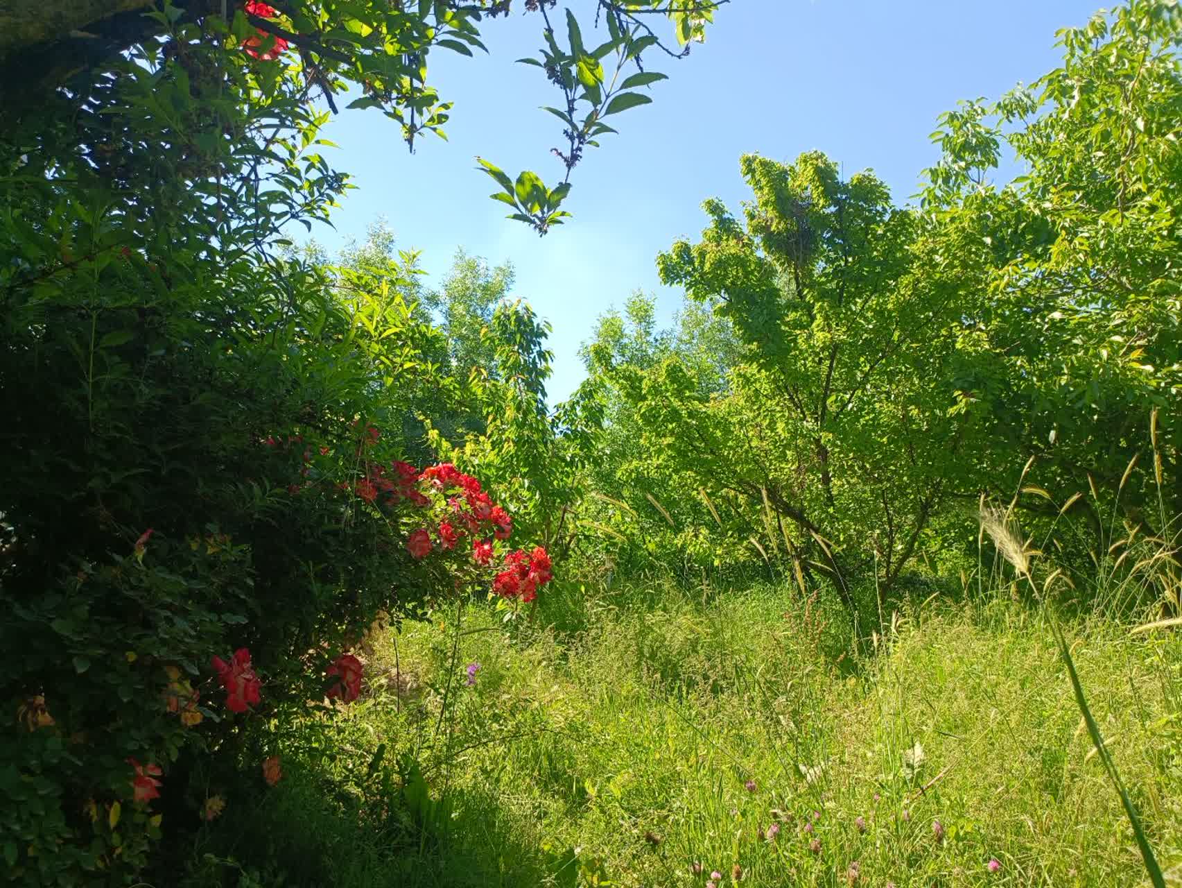 تصویر نسیم الموت