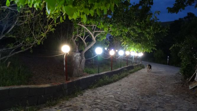 تصویر نسیم الموت