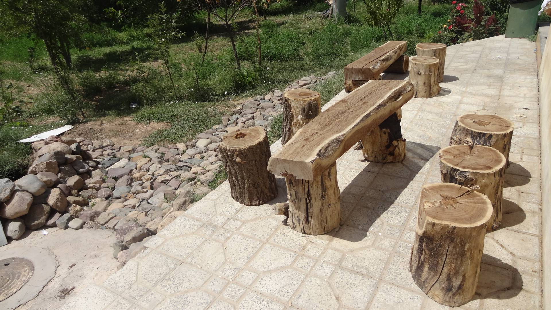 تصویر نسیم الموت