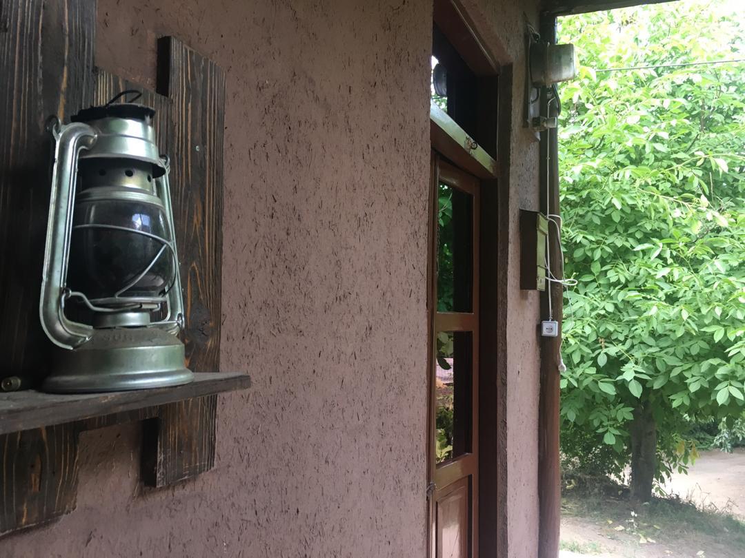 تصویر بومگردی شکوفه گیلاس