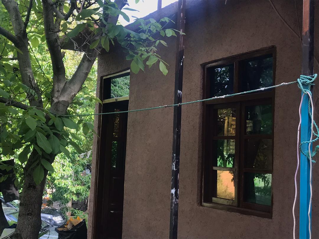 تصویر بومگردی شکوفه گیلاس