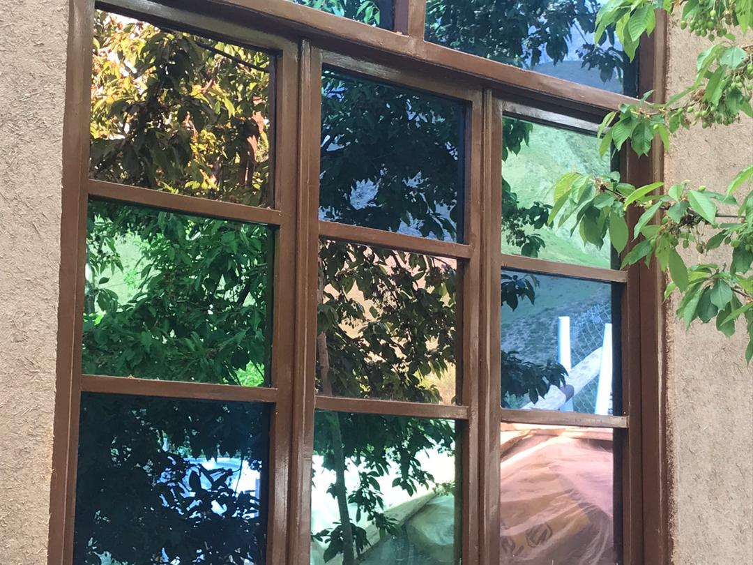 تصویر بومگردی شکوفه گیلاس