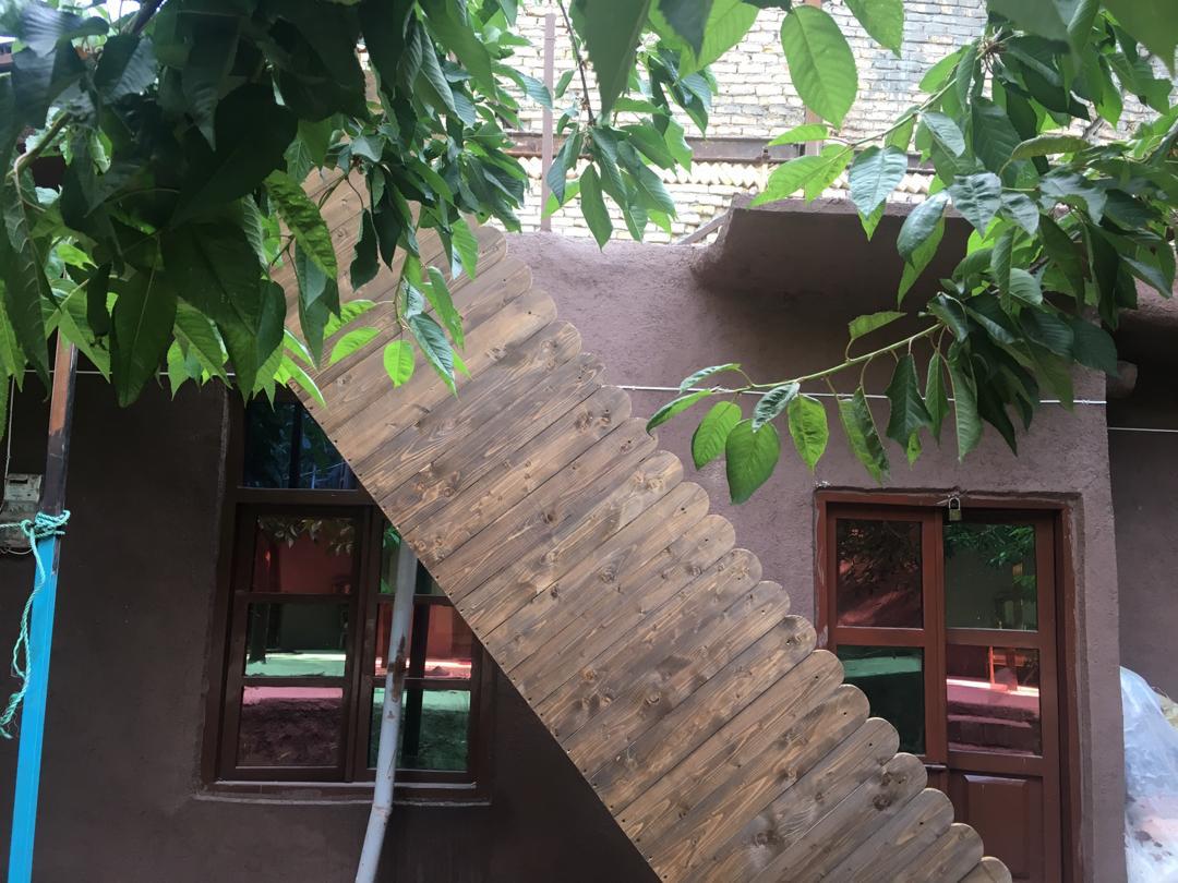 تصویر بومگردی شکوفه گیلاس