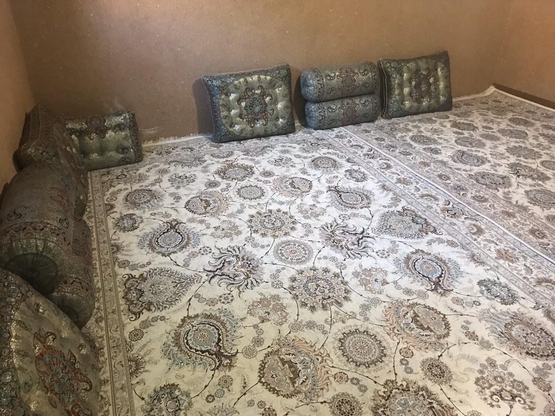 تصویر بومگردی شکوفه گیلاس