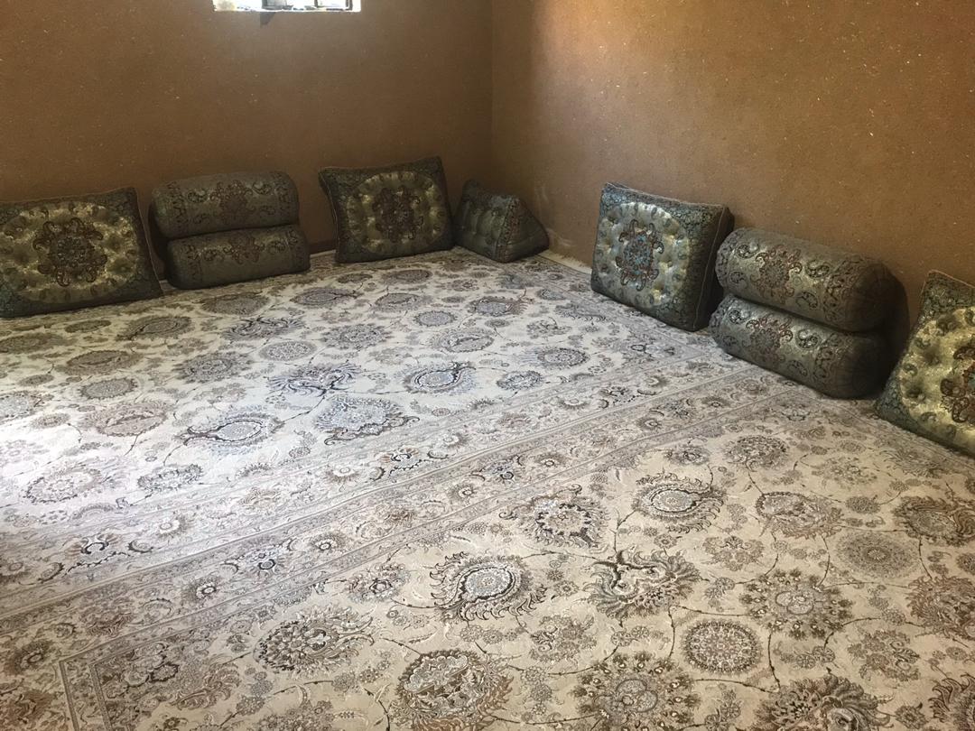 تصویر بومگردی شکوفه گیلاس