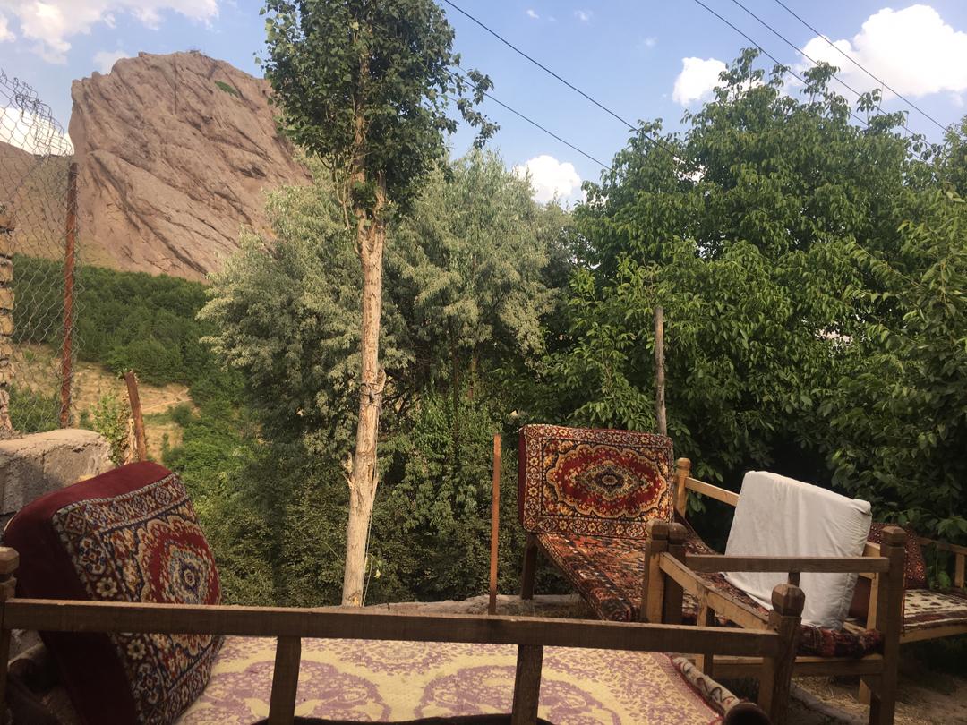 تصویر بومگردی شکوفه گیلاس