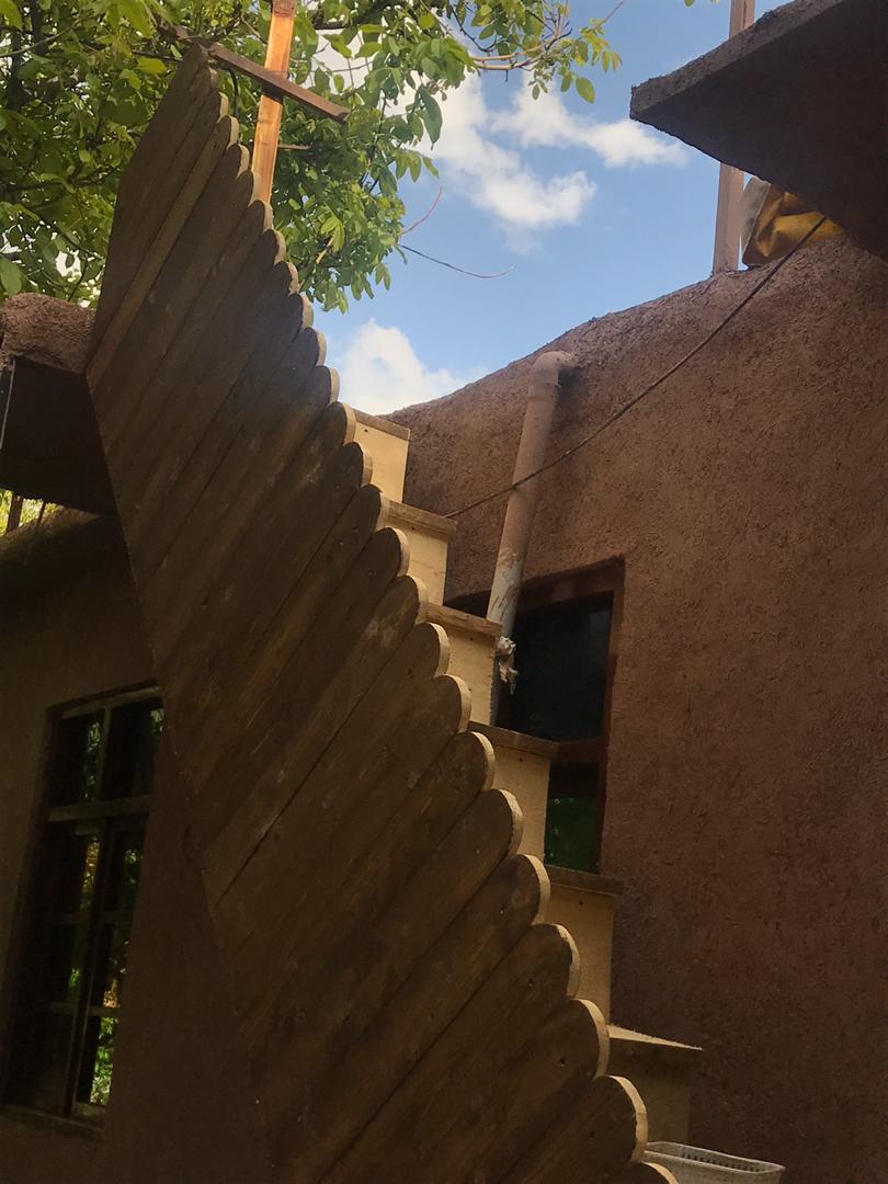 تصویر بومگردی شکوفه گیلاس