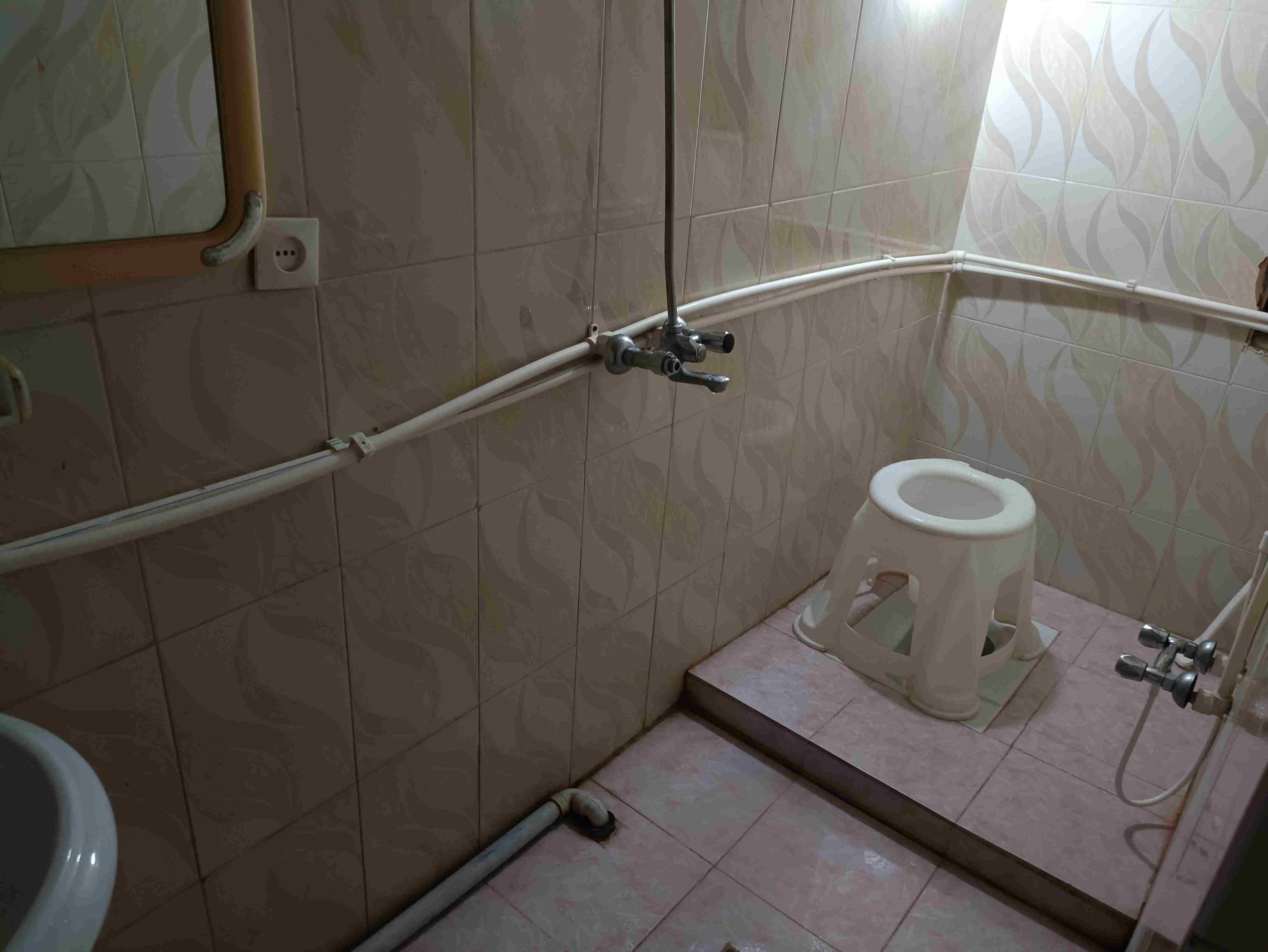 تصویر بومگردی شکوفه گیلاس