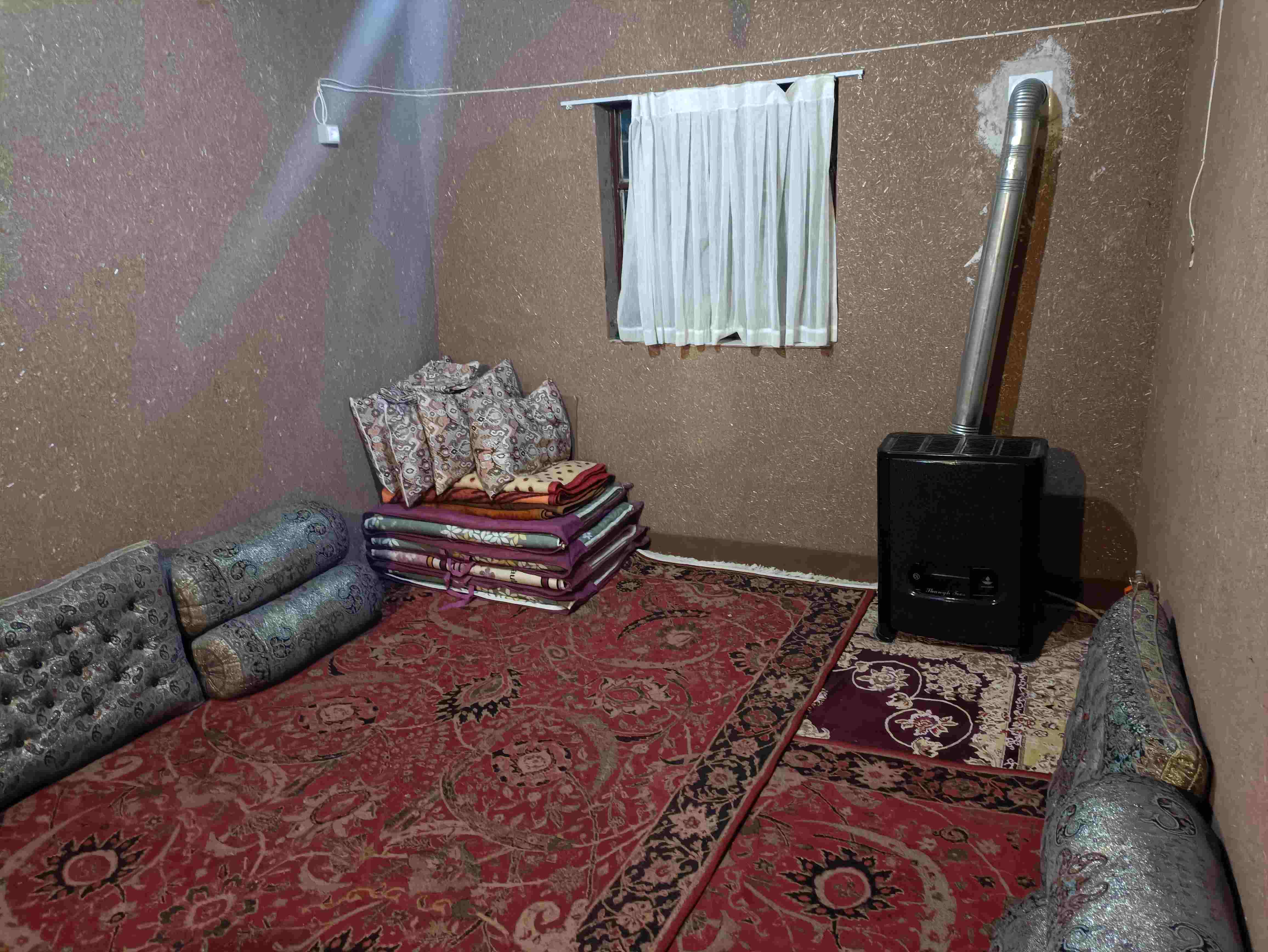 تصویر بومگردی شکوفه گیلاس