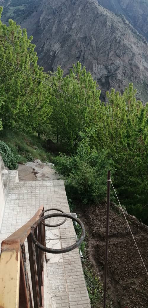 تصویر آتون رو