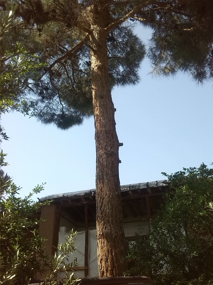 تصویر اقامتگاه دوکاج