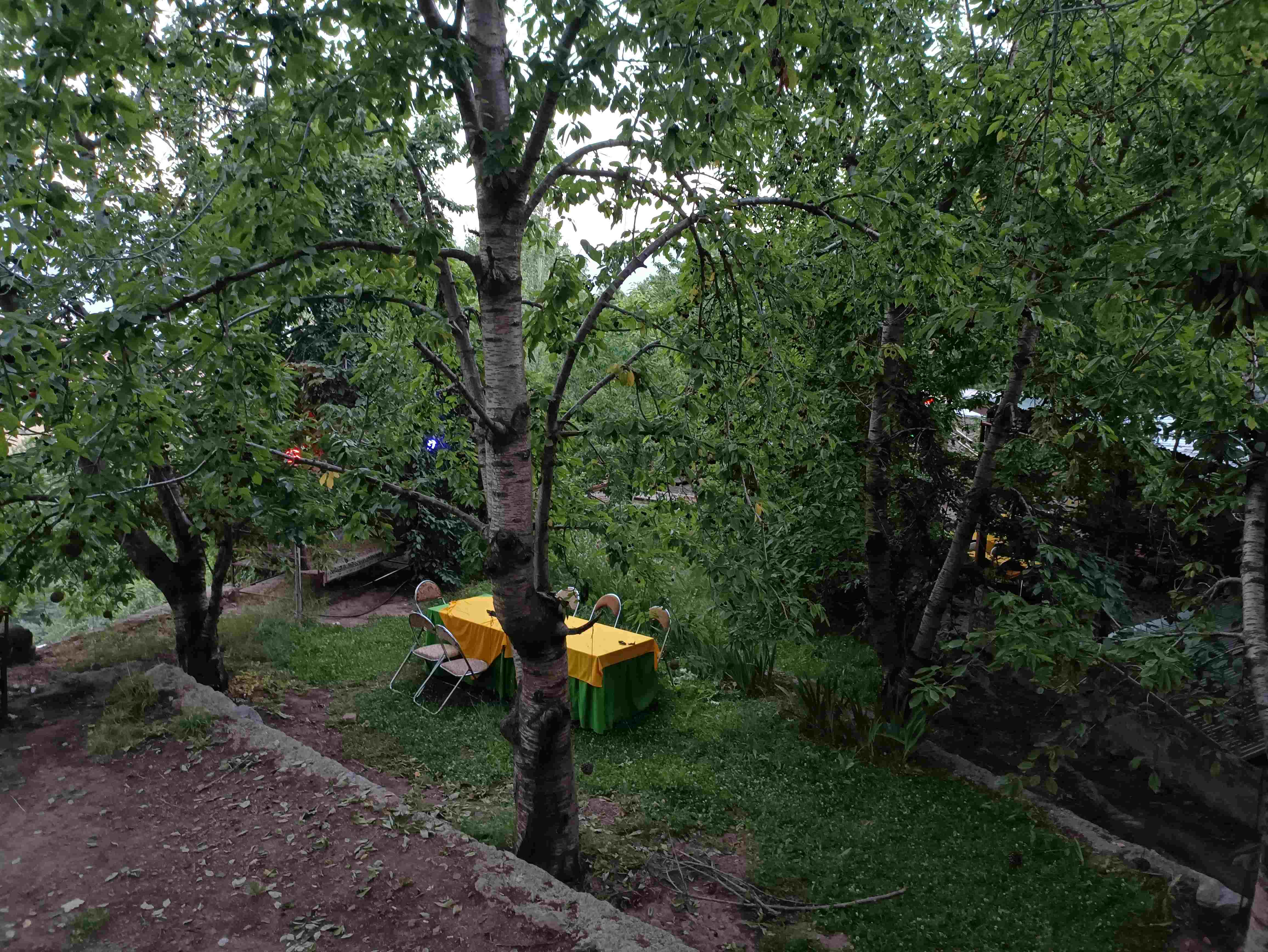 تصویر باغ گلستان