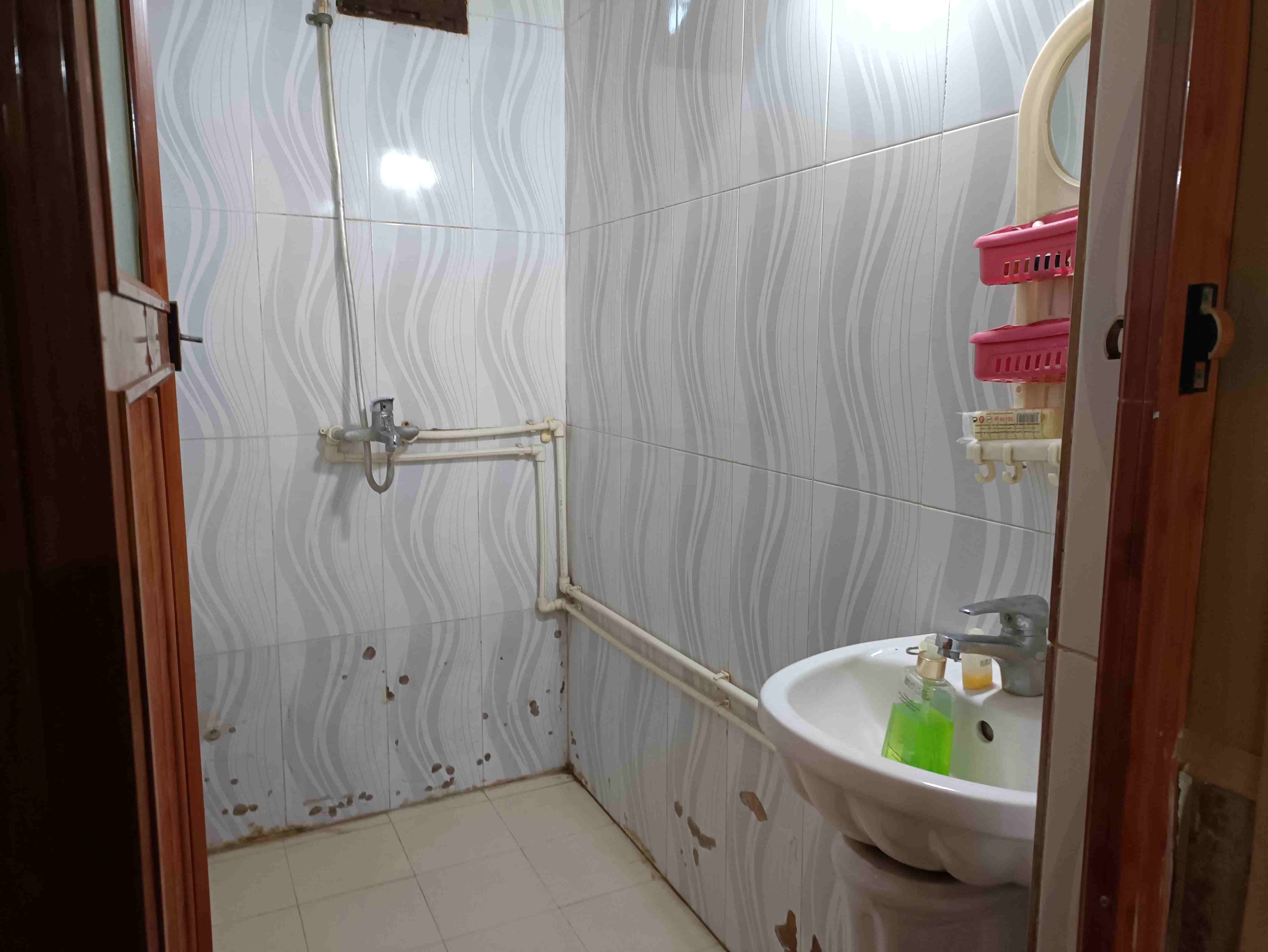 تصویر باغ گلستان