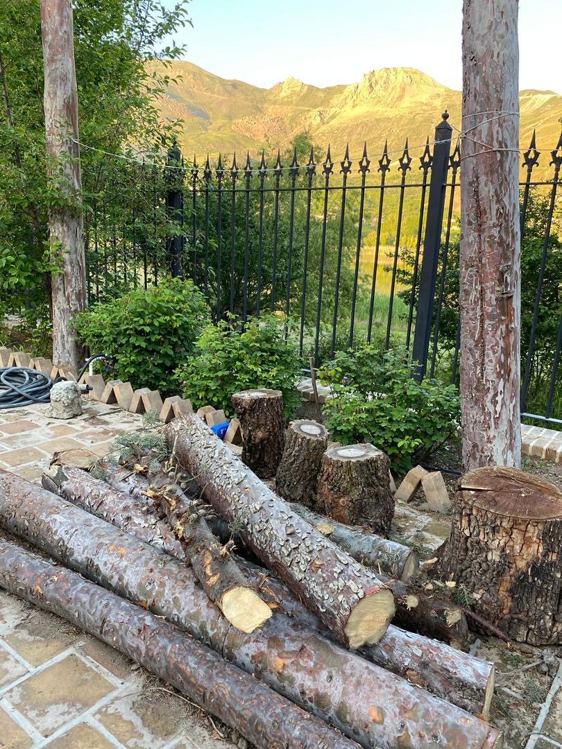 تصویر بومگردی فرهنگ، 12 متری